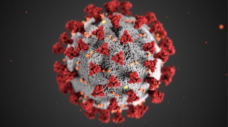 - Coronavirus