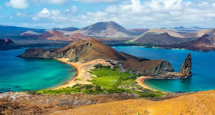 -