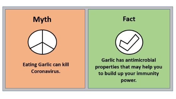 Myth 5 Eating Garlic can kill Coronavirus.